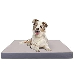 Nobleza Cama Perro Grandes Ortopédica, Colchoneta Perro Lavable, Colchon Perro con Funda Desenfundable, Relleno Grueso, Forma de Huevo, Tamaño L, 90x70x8cm, Gris