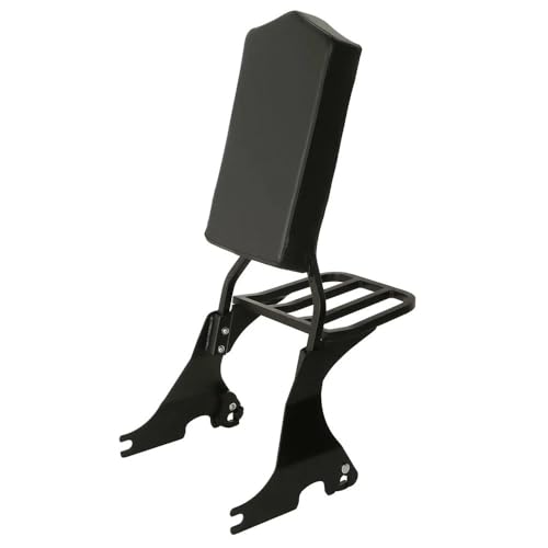 Sissy bar Sportster avec porte-bagages amovible pour passager moto Iron 883 et XL 1200