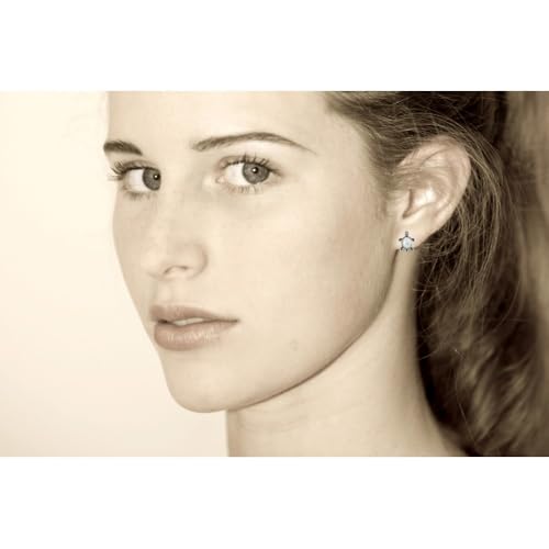 Boucles d'oreilles tortue argent anti allergie nacre véritable