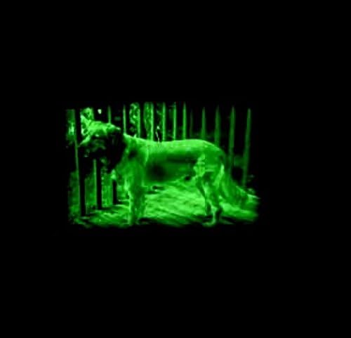 Miniatura 6 de SpyX Alcance Night Hawk - La visión nocturna infrarroja real te permite ver hasta 50 pies en total oscuridad. El complemento perfecto para tu