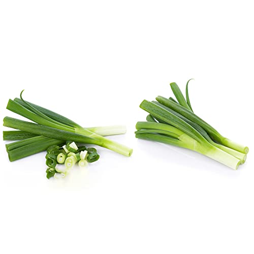 semillas de cebolleta - semillas de bonsái - Serie raras cebolletas jardín puerro orgánicas verdes 800pcs