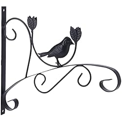 Macetero Forja De Pared Eujgoov Soporte para Plantas Colgantes de Hierro Forjado, Soporte para Plantas, Soporte para Maceteros de Pared, Colgador para Decoración de Balcón, Pared del Hogar, Salas de Estar,