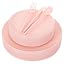 Pink Frosted Plastic Plates