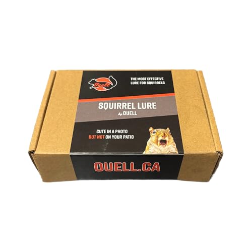 Squirrel Bait - Best Lure for Squirrel