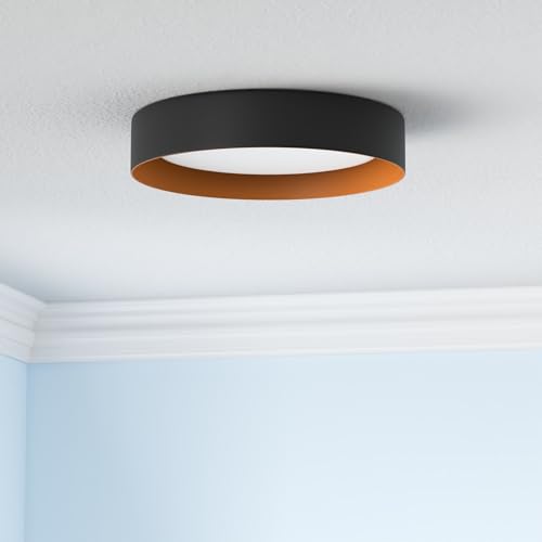 Bargeni 22CL1003US 16.5 Inch Led Ceiling Light Fixture,Dimmable Flush Mount Ceiling Light Matte Black thumb #1