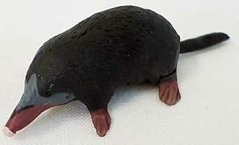 チョコエッグ クラシック 日本の動物コレクション ヒミズ 単品 食玩 通販 Amazon