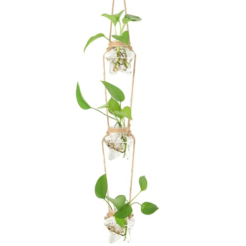 XXXFLOWER Wall Hanging Propagation Station，3 Tiers Star Shaped Glass Flower Vase for Hydroponic Planter Terrarium for Plant Cutting Home Office Living Room Garden Decor