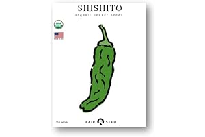 Organic Shishito Pepper Seeds for Thrilling Spicy Treats