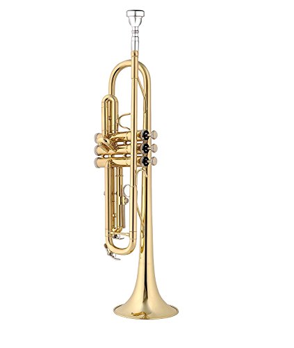 Lexington Standard Brass Lacquered Bb Student Intermediate Trumpet Monel Pistons with Full Accessories and Kit