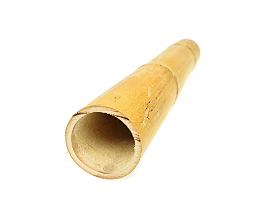 Dixiestore Poteaux décoratifs en Bambou épais - Bâtons de Fleurs 100% Naturels - Cannes en Treillis de Bambou - Support de Plantes pour la Maison et Le Jardin et Aide à l'escalade - 190cm 80/100mm