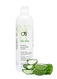 Organic Bubbles Aloe Vera Shampoo with Aloe Vera leaf juice. Our is Organic, 100% Vegan, No Parabens, Sulphates or Silicones. 490 ml.
