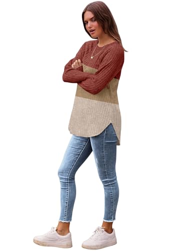 Image of Saloogoe Long Sleeve Shirts for Women 2025 Fall Clothes Tunic Tops Loose Fit Dressy Crewneck Pullover Sweaters Curved Hem