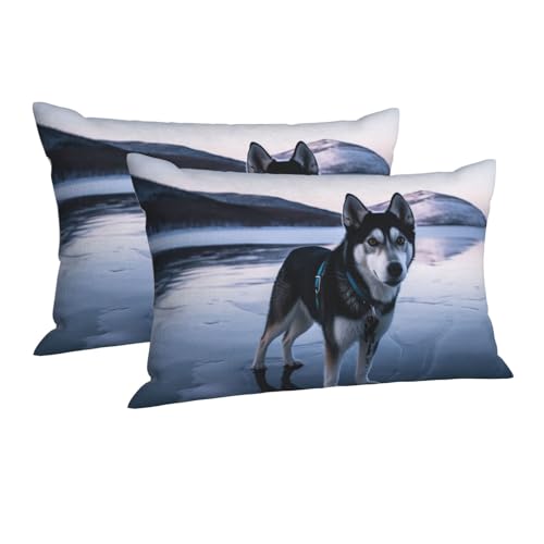 Pillow Case Husky Dog on a Frozen Lake Queen Cooling Pillowcase Envelope Closure Super Soft Breathable Pillow Covers 16