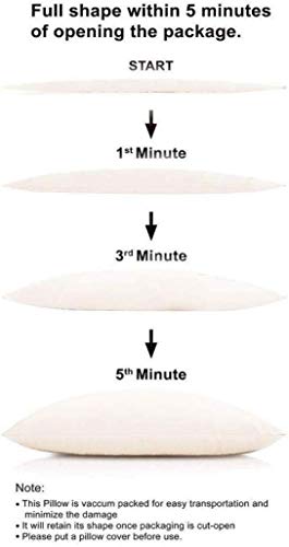 Image of Sulana Cushion Inserts Fiber Filler Satin Stripe with White Outer Cover & Cushion Fillers (5, 16 x 16)