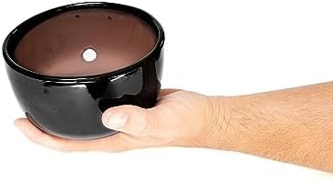 Miniatura 4 de Air Plant Shop Planta de aire grande ensamblada para jardín, al por mayor y a granel, suculentas, Tillandsia viva, plantas de interior y exterior de