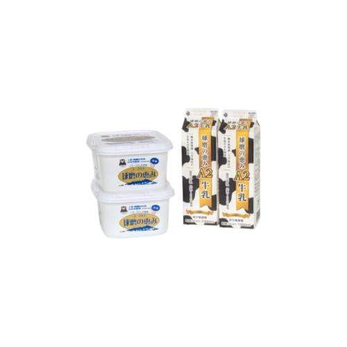 [amazon価格]牛乳 ヨーグルト 球磨の恵み お腹にもやさしいA2ミルクとヨーグルト加糖 セット ミルク 牛乳2本 2個[お届け不可:沖縄県、離島]