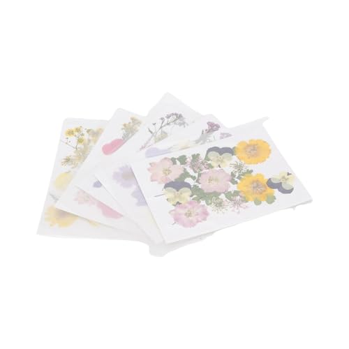 100 piezas flores secas prensadas para manualidades miniatura 4
