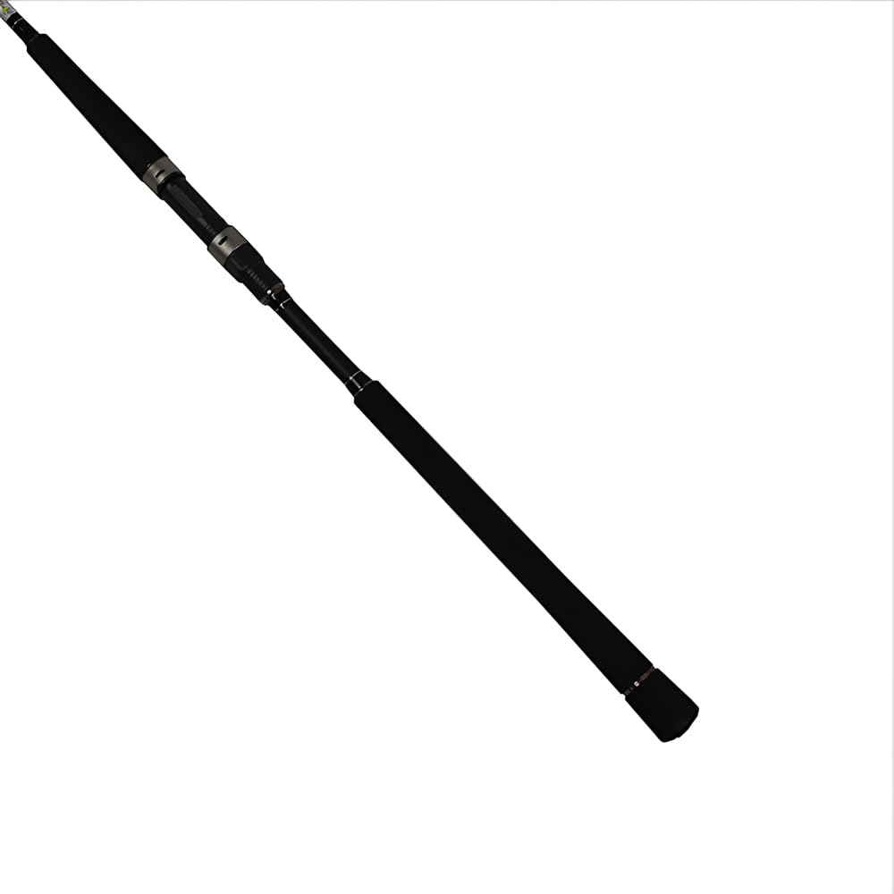 Amazon | シェアーズ Solfiesta(ソルフェスタ) SHORE JIGI(ショアジギ