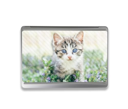Image of MightySkins Carbon Fiber Skin Compatible with Microsoft Surface Laptop Studio 2 (2023) Full Wrap Kit - Blue Eyed Kitten | Protective, Durable Textured Carbon Fiber Finish | Made in The USA