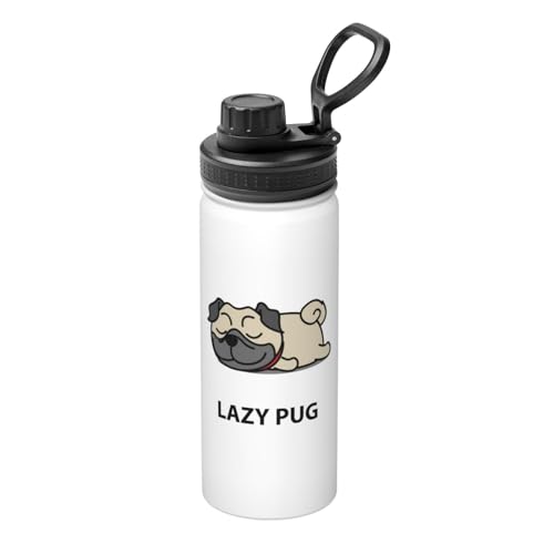  킢 pO  XeX{g @r 500ml  ۗۉ ^fM X|[c{g e nht ^ Rh~  oR AEghA ʋ ʊw