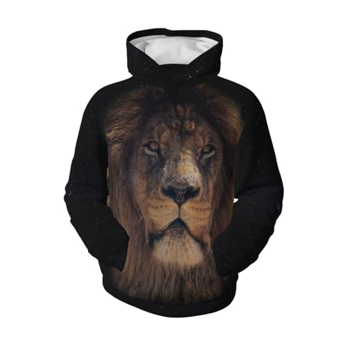 Lion And Starry Boy, Girls Sports Shirt Youth Pullover Fashion Hooded Sweatshirt4