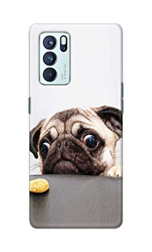 Image of PRINTFIDAA� Printed Hard Back Cover Case for Oppo Reno6 Pro 5G Back Cover (Pug Dog) -2808