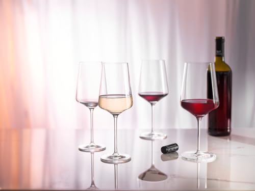 Verre à vin rouge set de 12 pièces Ritzenhoff 500 ml pour dégustation de vin blanc de table