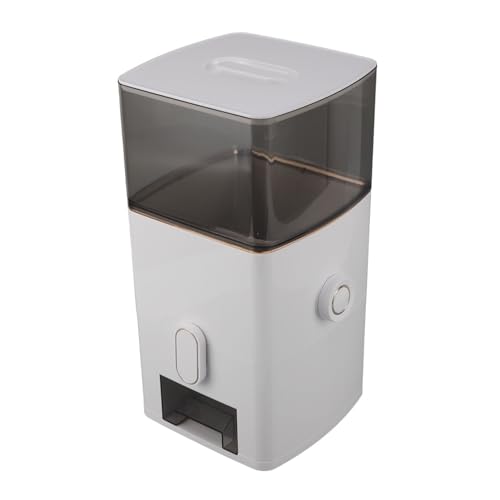 Distributore di riso 13,2 libbre Capacità trasparente Contenitore di stoccaggio degli alimenti a secco con tazza di misurazione per zucchero di farina cucina (PilipaneLMns-11)