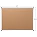 VIZ-PRO Cork Notice Board, 24 X 18 Inches, Silver Aluminium Frame