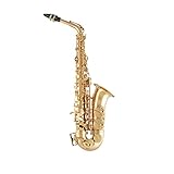 Selmer SAS411 Intermediate Alto Saxophone - Lacquer