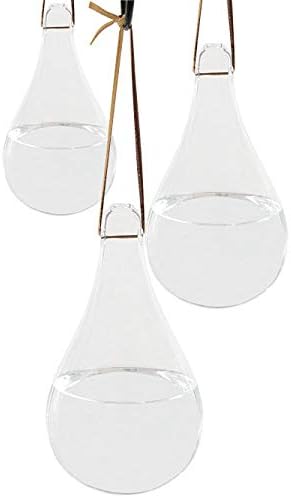 Esschert Design Glass Fly Deterrent