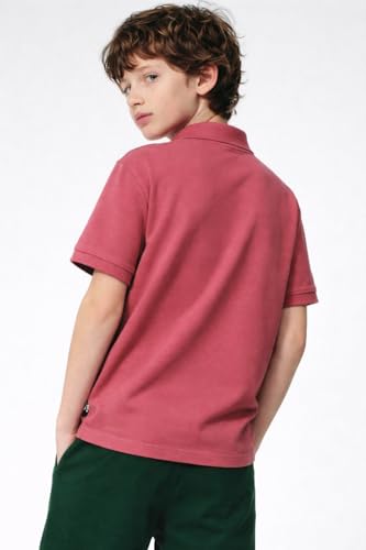 Image of Alan Jones Clothing Boy's Cotton Regular Fit Polo T-Shirt