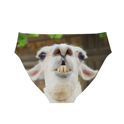 Allinterest Women's Fashion Sexy Funny Naughty Printing Alpaca Underwear Briefs #TOP1