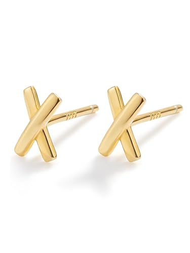 Image of Solid 925 Sterling Silver Stud Earrings for Women & Men, Hypoallergenic 18K Gold Plated & Silver Small Studs, Minimalist Elegant Earrings for Birthday, Party, Daily Gift