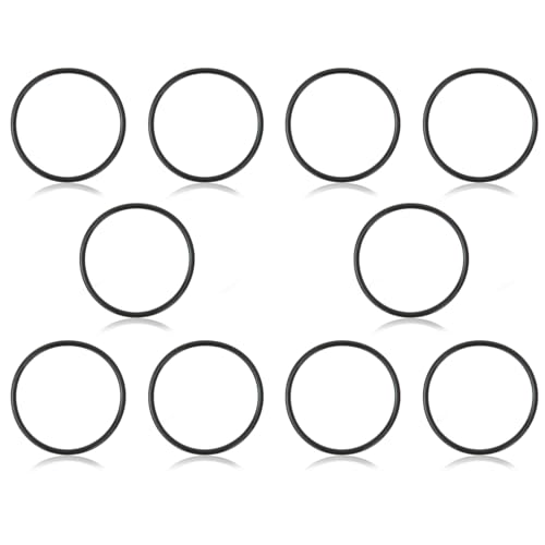 Eiahonen 521147 Gasket O-Ring Compatible with Pentair IntelliChlor IC15 IC20 IC40 IC60 and iChlor Salt Chlorine Generators (10 Pack)