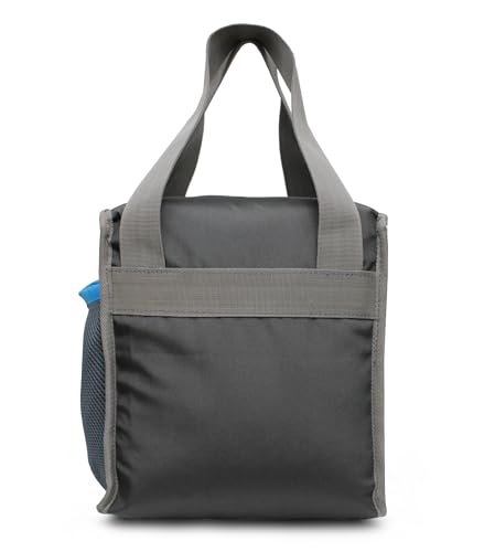 Image of Sfane Insulated Lunch Bag - Compact, Easy Wash, Smooth Zipper & Lightweight - Tote Bag & Container, Tiffin Bag for Men, Women, Adults (Grey, Multicolor)