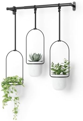 Umbra Triflora Hanging Planter for Window, Indoor Herb Garden, Se...