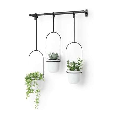 Umbra Triflora Hanging Planter for Window, Indoor Herb Garden, White/Black, Triple Cover