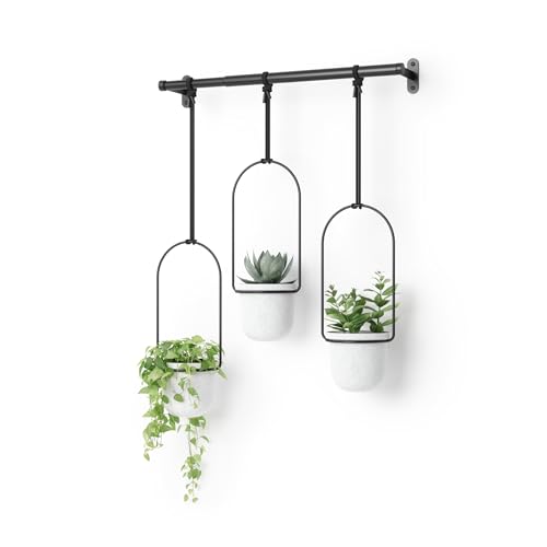 Umbra Triflora Hanging Planter for Window, Indoor Herb Garden, Set of 3, White/Black by Umbra - Used condition - CA$50.38