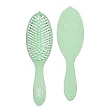 Wet Brush Go Green Oil - Cepillo de brillo con infusión de aceite – Árbol de té por unisex – 1 cepillo de pelo