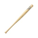 MLB Tampa Bay Rays Mini Baseball Bat, 18