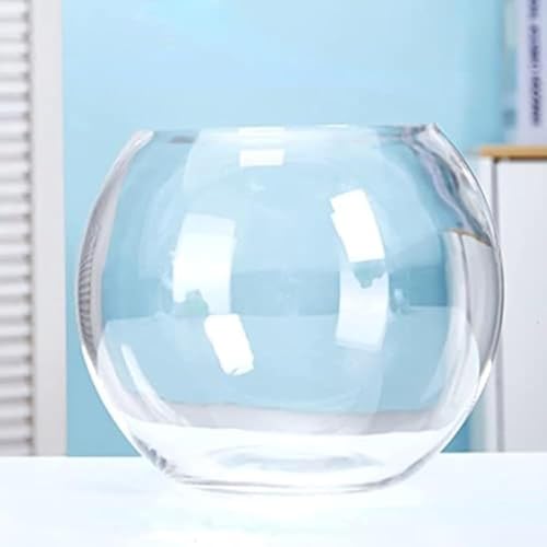 萁KX El a25cm Mtgp 5mm ~ߒ k͔| A ANAE CeA Vj ˔t (20cm)