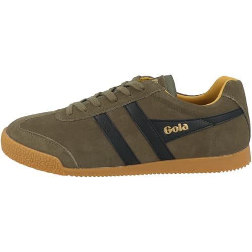 Image of Gola Harrier