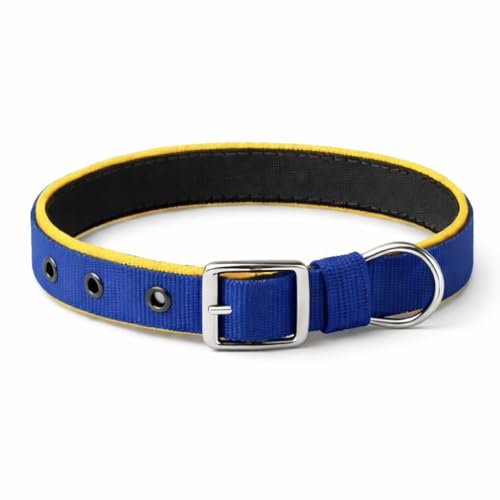 Image of Dog Leash with Padded Handle and Padded Collar Set | Adjustable Nylon Dog Collar & Heavy Duty Leash with Strong Metal Clip | Useful for Small Medium Large Dogs (Blue & Yellow)