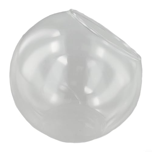 Terrarium élégant en verre pour plantes succulentes - Indispensable pour les fêtes (B)