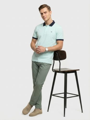 Image of Park Avenue Men Slim Fit Stripe Pattern Pure Cotton Polo Neck Half Sleeve Casual T-Shirt