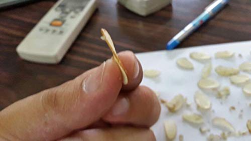 BTC INDIA Die Cast Aluminium Dry Fruits Slicer (Silver)