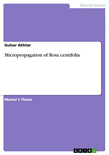 Micropropagation of Rosa centifolia 3656869154 Book Cover