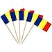 AhfuLife 100 Stück Rumänien Zahnstocher Flaggen, RUMÄNISCHE Deko Fahne Klein Mini Zahnstocher für 2025 EM Euro Eurovision Song Contest Olympische Cupcake Topper Toothpick Cocktail Partydeko Pub Deko