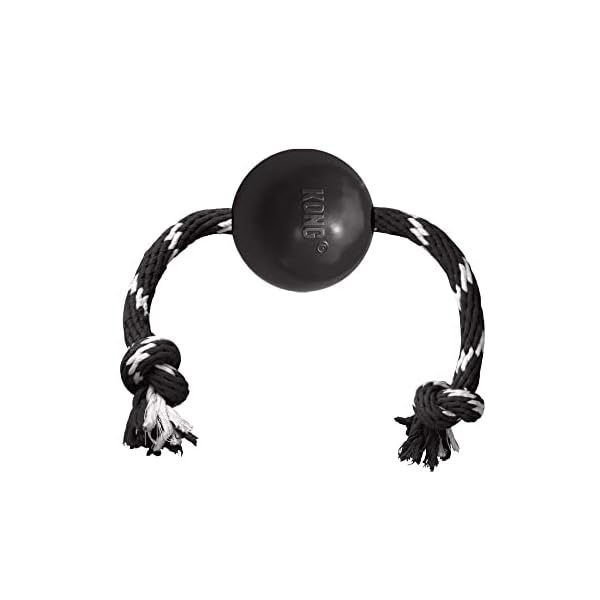 Extreme Ball with Rope Toy